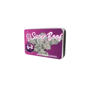 Super Boof Growers Choice seeds