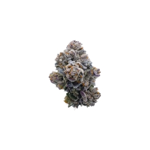 Pink Glitterbomb Growers Choice cannabis