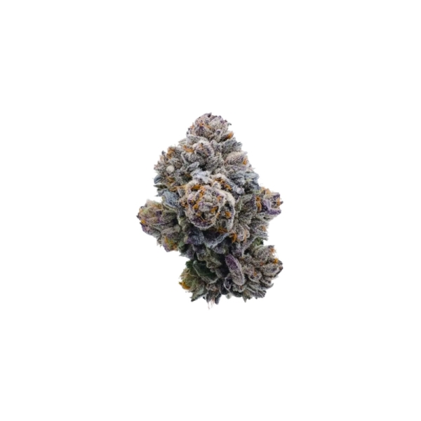 Pink Glitterbomb Growers Choice cannabis