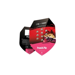 Royal Queen Seeds Punch Pie