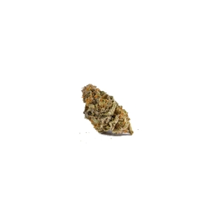 Cinderella 99 Growers Choice