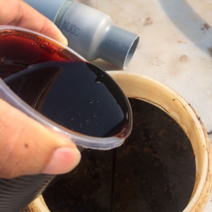 Organic Earth Molasses