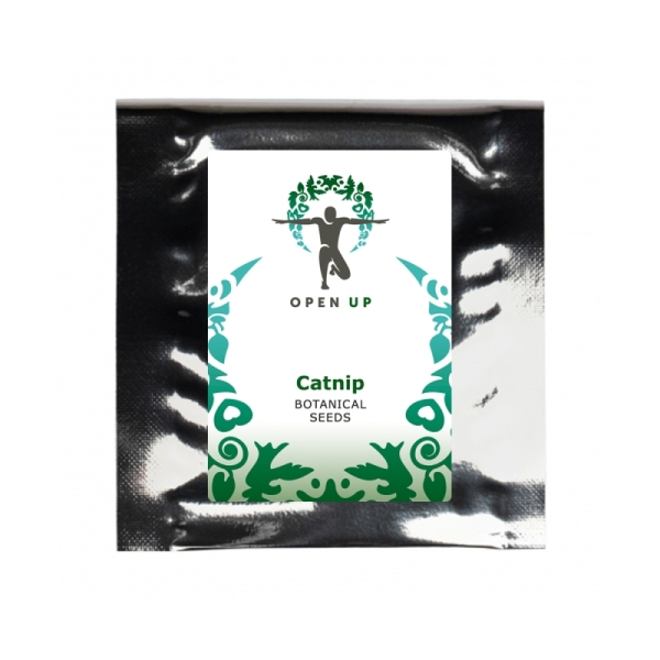 Open Up Catnip 20 graines