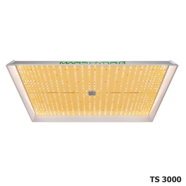 TS3000