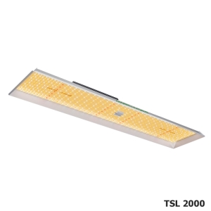 TSL 2000
