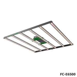 FC-E 6500