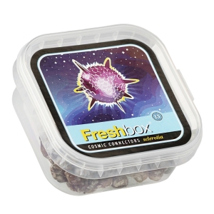 FreshBox Cosmic Connectors