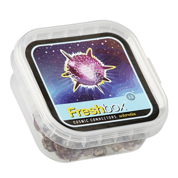 FreshBox Cosmic Connectors