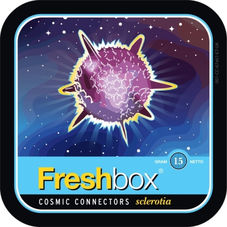 Cosmic Connectors Freshbox Magic Truffles