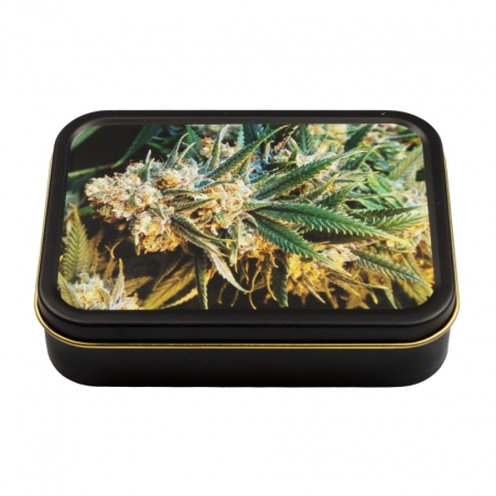 Unbranded Stashbox Cannabis Bud 