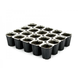 Royal Queen Seeds Easy Start