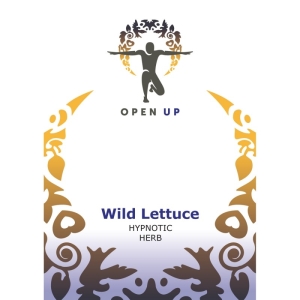 Open Up Laitue vireuse (Wild Lettuce)