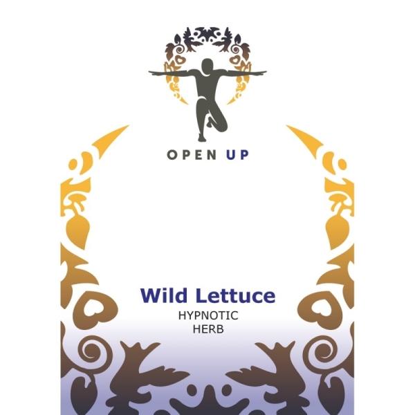 Open Up Laitue vireuse (Wild Lettuce)