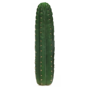 Sirius Mescalin Cacti San Pedro
