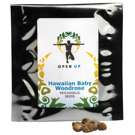 Open Up Hawaiian Baby Woodrose