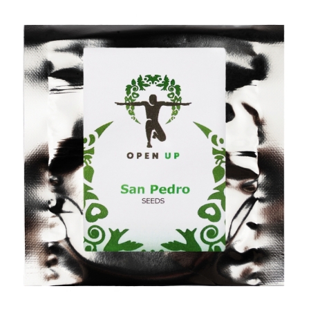 Open Up San Pedro 20 semi