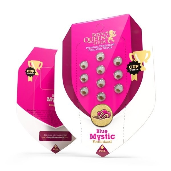 Royal Queen Seeds Blue Mystic