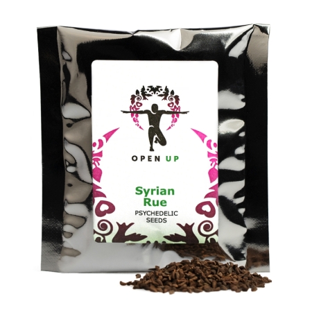 Syrian Rue Open Up