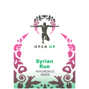 Open Up Syrian Rue