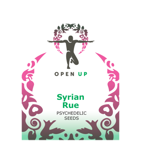 Open Up Syrian Rue