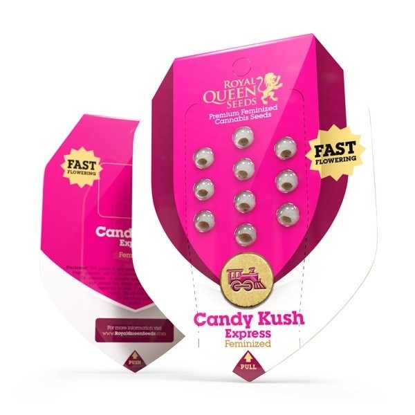 Royal Queen Seeds Candy Kush Express