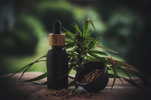 Perché scegliere l'olio di CBD? Ecco 8 motivi per usare prodotti contenenti CBD