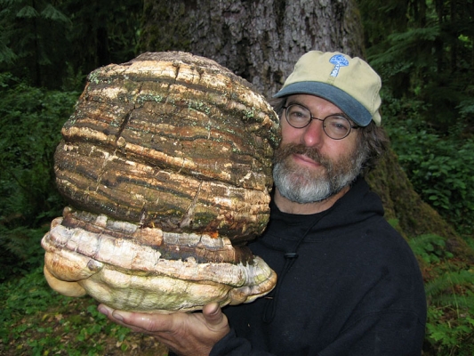 Paul Stamets Stack Formula: Microdosing with Magic Truffles has benefits for your health