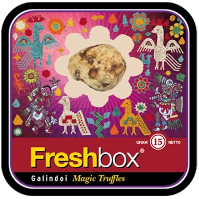 Tomando psicodélicos no clube? Relatório de viagem nova variedade de trufas Freshbox: Galindoi