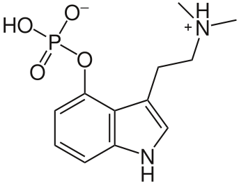 Was sind die psychedelischen Substanzen Psilocybin und Psilocin?