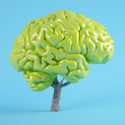Nootropi per l’ADHD: Tutto quello che devi sapere