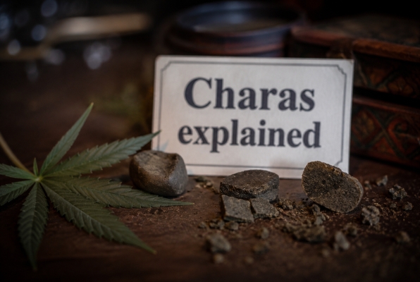 Charas explicado: Guia completo da resina de canábis tradicional obtida por fricção manual