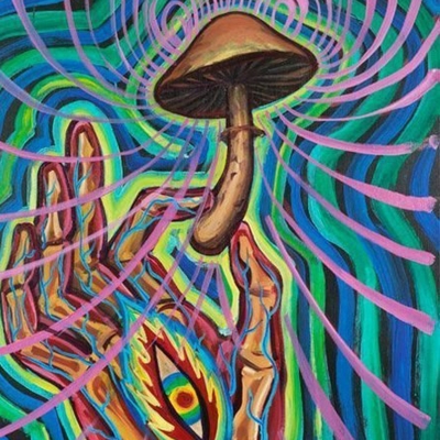 FAQ Grow your own magic mushrooms