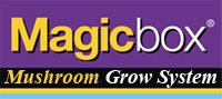 Magicbox
