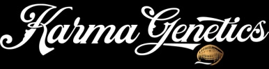 Karma Genetics