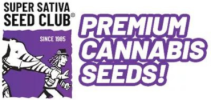 Super Sativa Seed Club