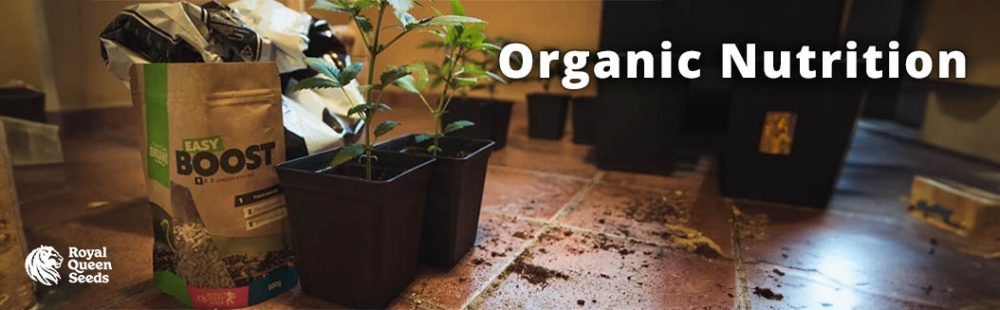 organic nutrition