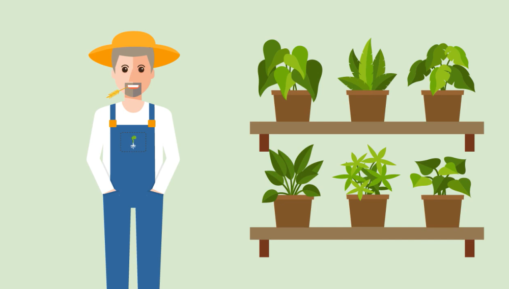 Cartoon farmer with plants