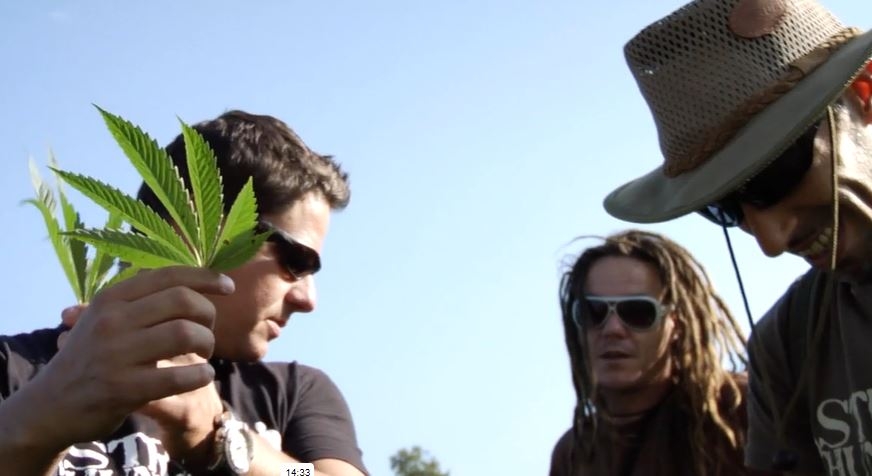 Team Strain Hunters with Arjan showing a cannabis leaf