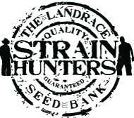 Strain Hunters logo