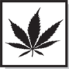 White Label Seed Company
