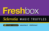 FreshBox