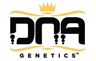 DNA Genetics logo