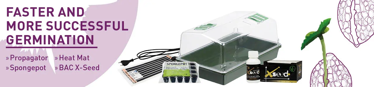 Germination kits at Sirius