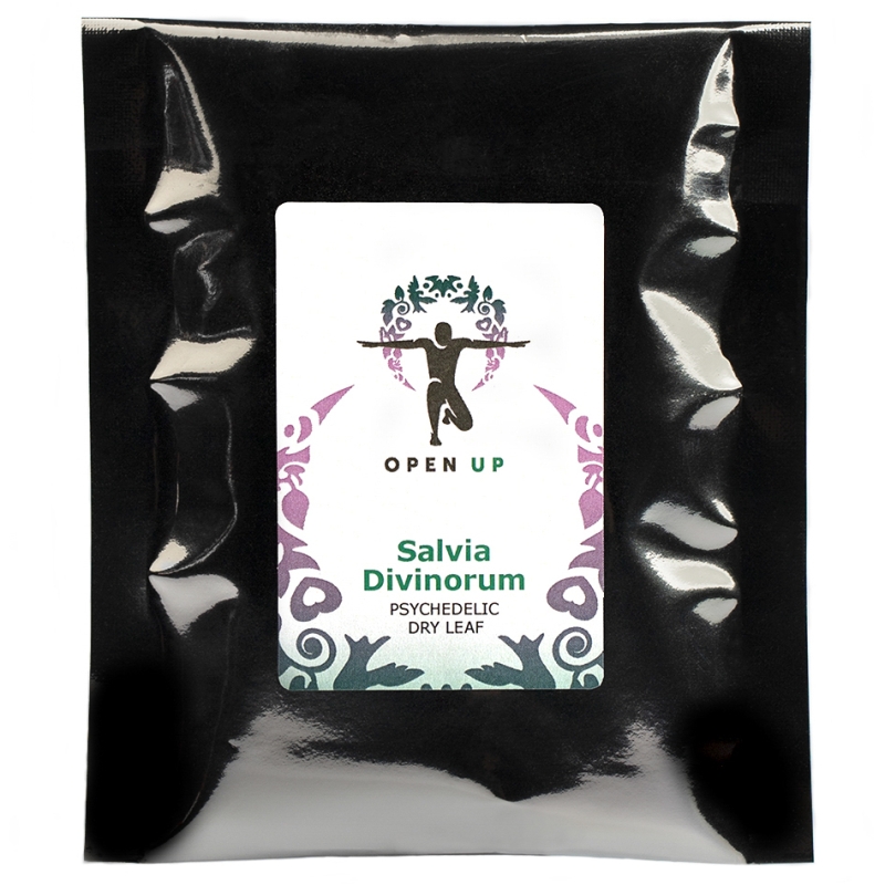 Salvia divinorum 