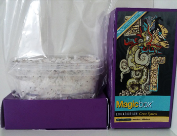 Magic Box Equadorian growkit