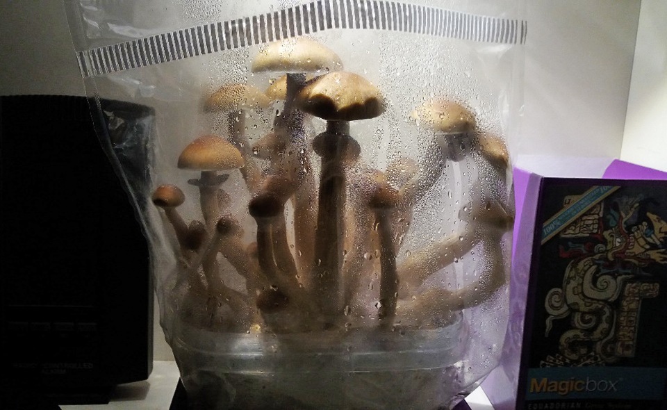 Magicbox step 2