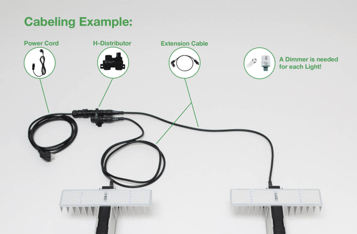 SANlight Cabeling Example