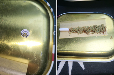 Spliff rolling 3